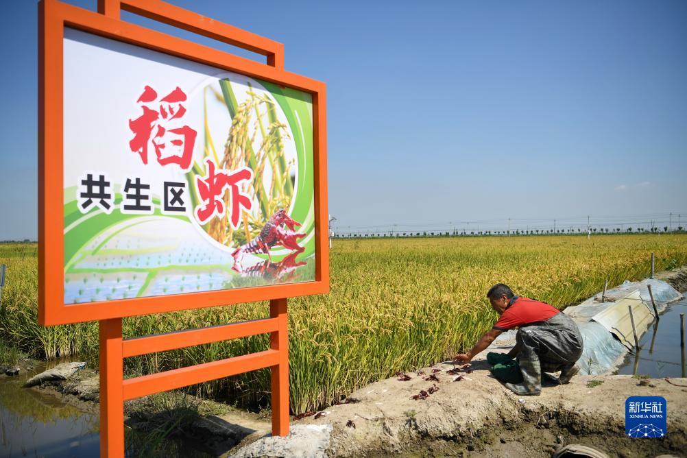 威人斯尼首页